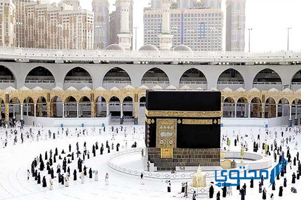 أسعار الحج السياحي والاقتصادي وأسعار حج القرعة 2023 1 أسعار الحج السياحي والاقتصادي وأسعار حج القرعة