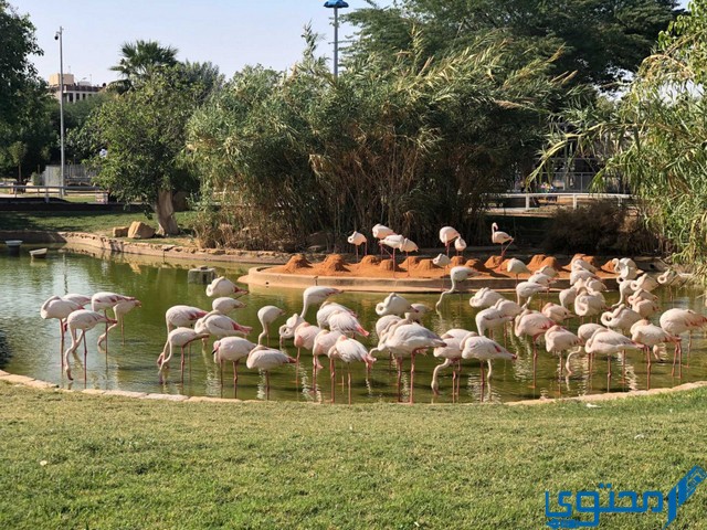 أسعار تذاكر حديقة الحيوان في الرياض