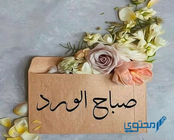 أسعد الله صباحكم بكل خير ورضا وسعادة وسرور