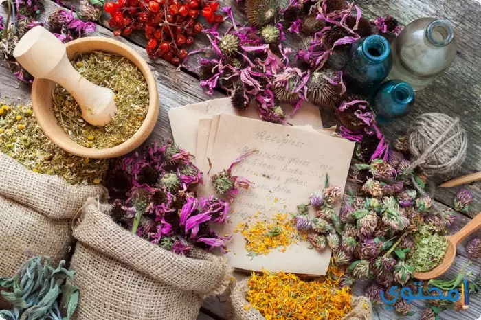  الأعشاب الطبية فى المغرب