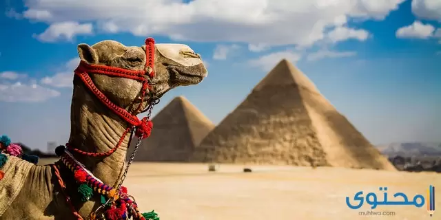 أفضل السياحه في مصر