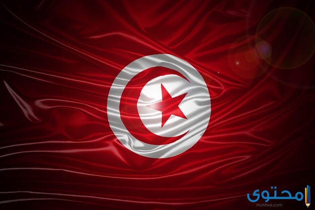 أصل العلم التونسي الحالي