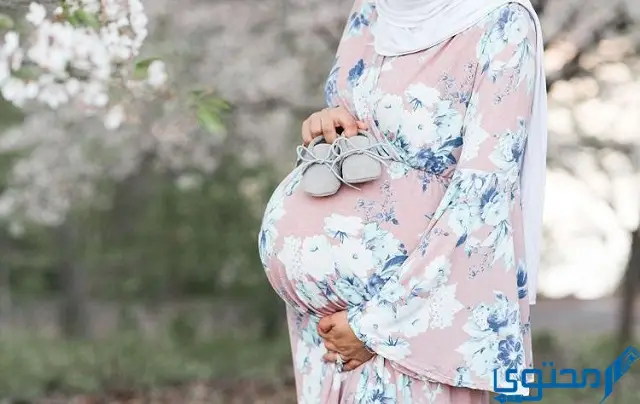 أطعمة ضرورية للمرأة الحامل في رمضان