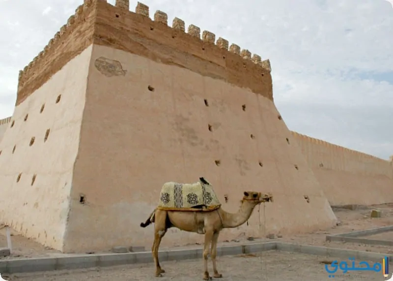 أوفلا1