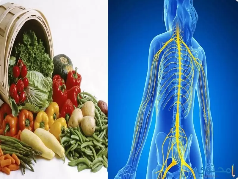 أغذية تحافظ على صحة الجهاز العصبي للجسم