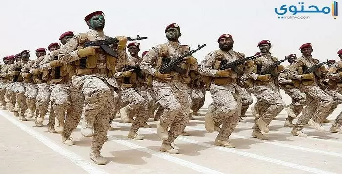 أغلفة الجيش السعودي 1