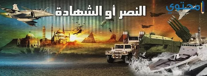 الجيش المصري 02