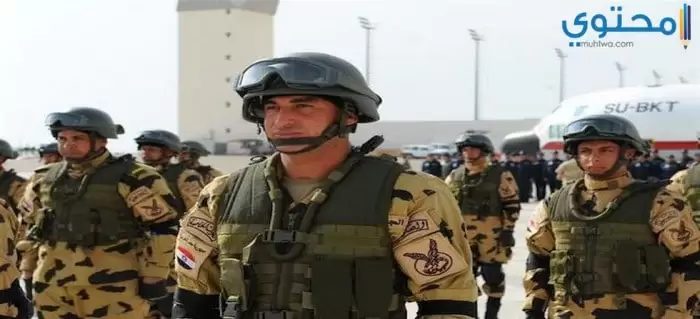 الجيش المصري 14