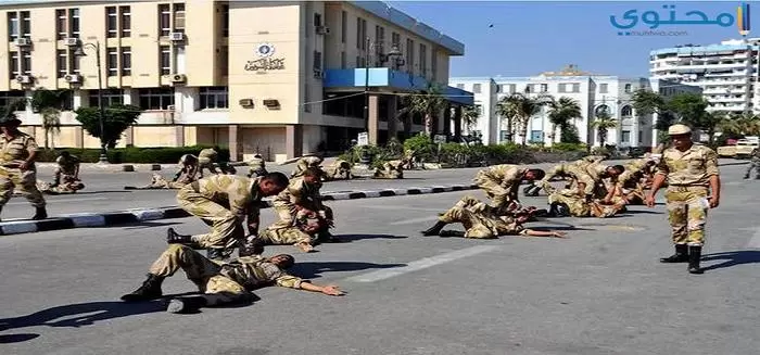 الجيش المصري 17 1