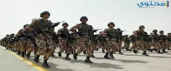 الجيش المصري 3 1