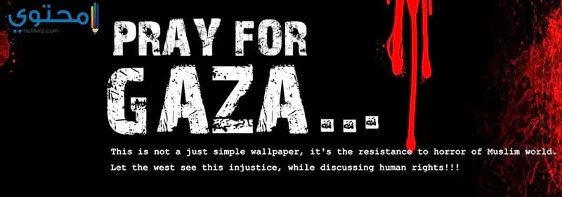 غزة 15