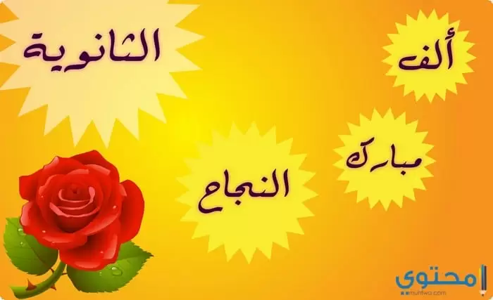وصور أنا نجحت01
