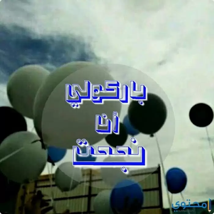 وصور أنا نجحت13