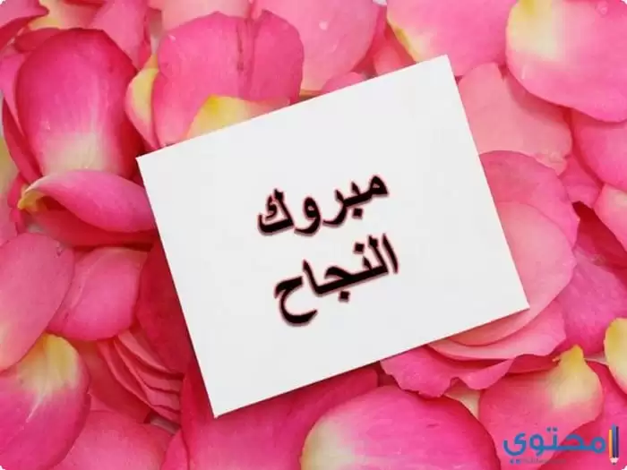 وصور أنا نجحت20