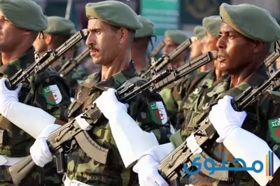 أفضل 10 الكلمات والأشعار عن الجيش الجزائري