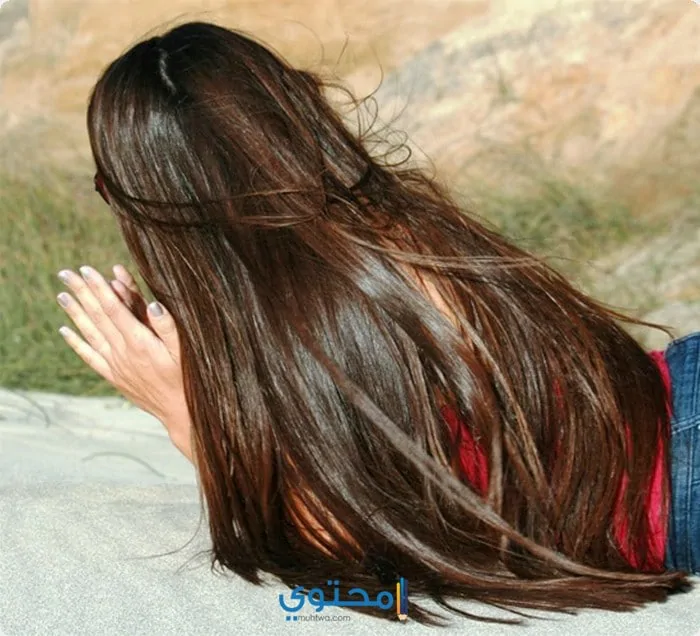 أفضل زيت طبيعي لتطويل الشعر 2023