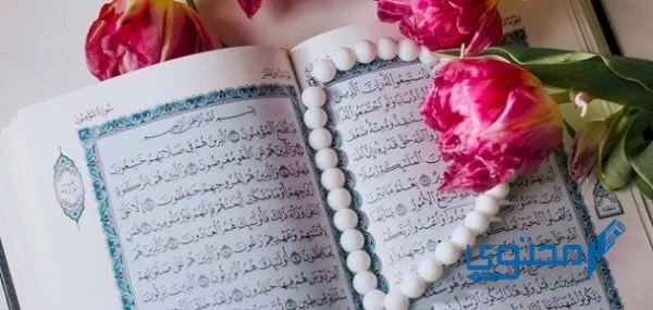 أفضل سورة في القرآن يوم عرفة