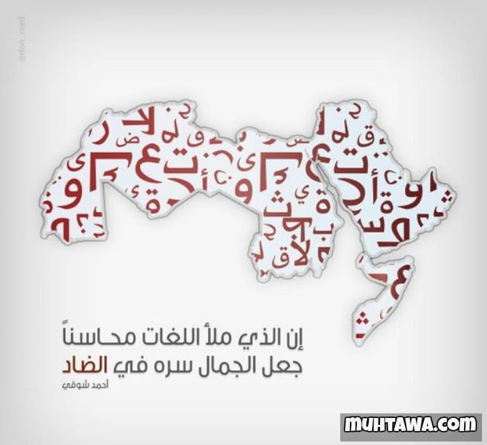 أقوال في اللغة العربية