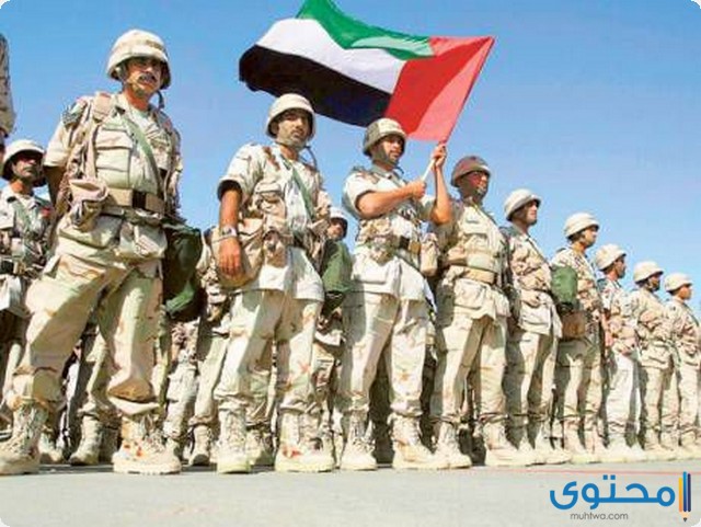 أقوى الجيوش العربية