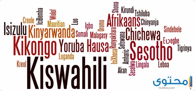 ما هي أكثر اللغات استخدامًا في أفريقيا