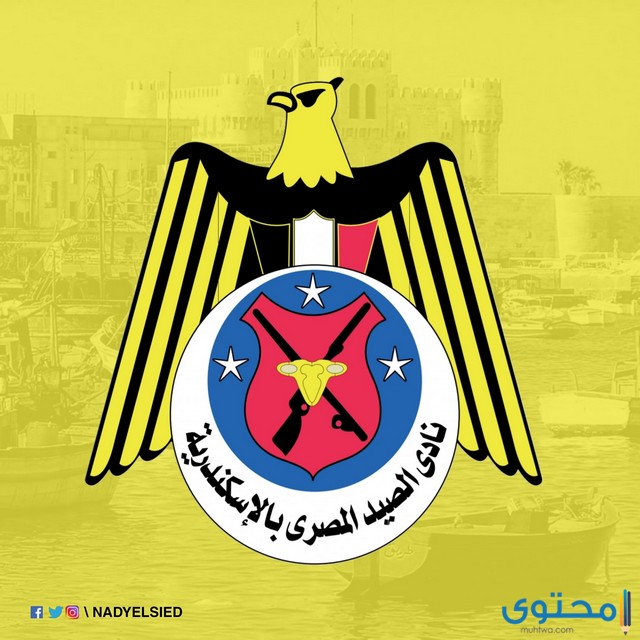 أماكن فروع نادي الصيد السكندري وأسعار العضوية 2023 1 أماكن فروع نادي الصيد