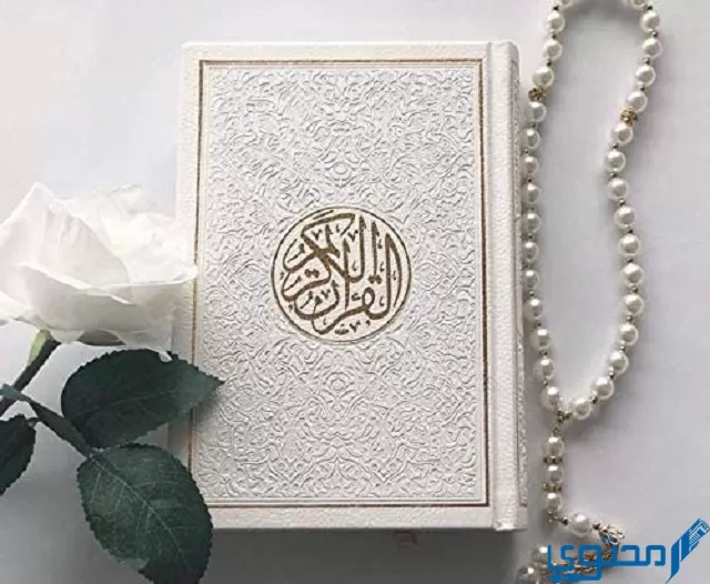 أمثلة على الترقيق والتفخيم للراء من القرآن الكريم