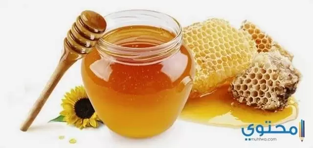 أنواع وفوائد عسل النحل