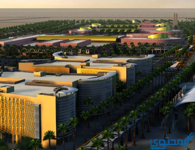 أهم التخصصات في جامعة سطام