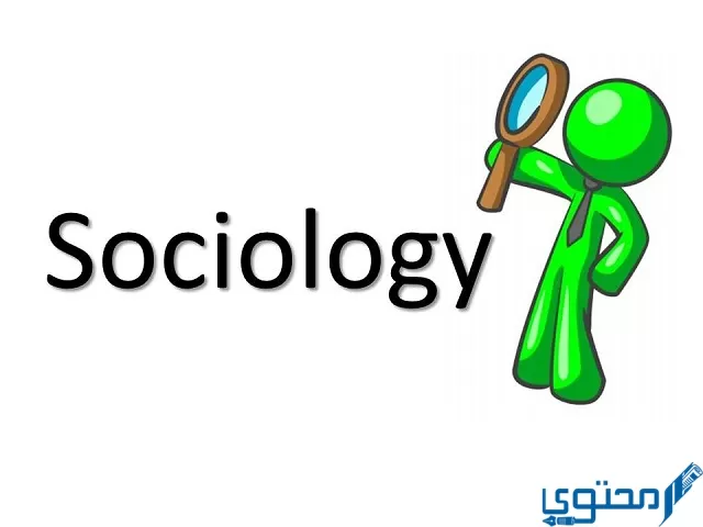 أهم تصنيفات نظريات علم الاجتماع