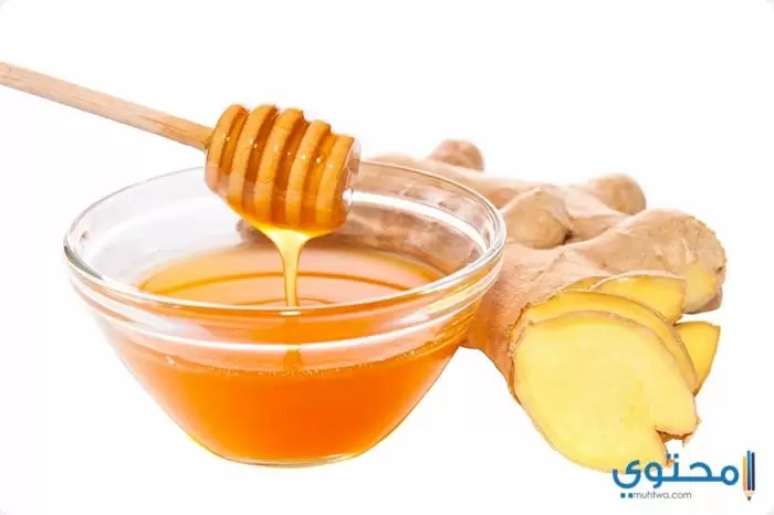 أهم فوائد الزنجبيل والعسل1