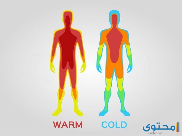 أهمية درجة الحرارة في جسم الإنسان