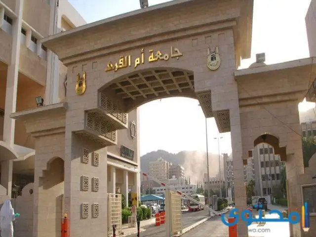 أول جامعة في السعودية