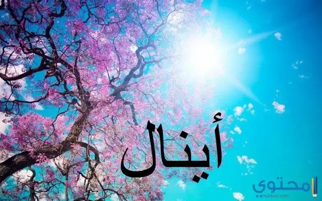 أينال