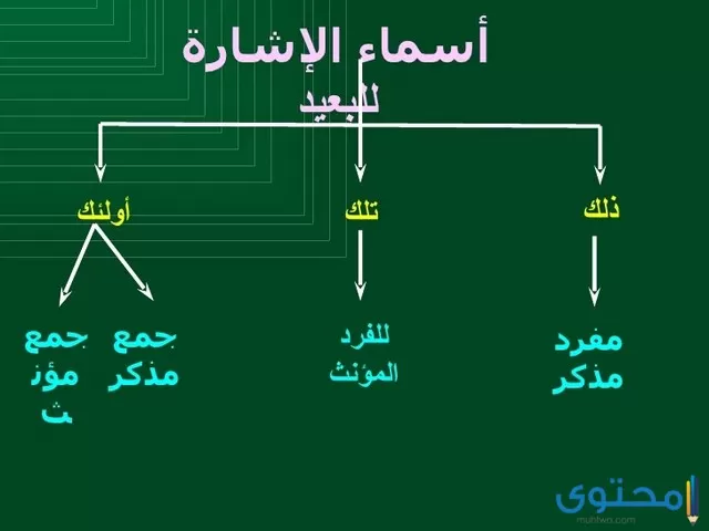 هذه الجمل تضمنت اسم إشارة للبعيد