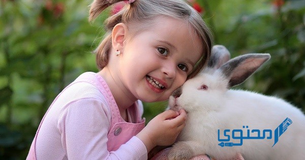 إذاعة مدرسية عن الرفق بالحيوان كاملة 1 إذاعة مدرسية عن الرفق بالحيوان