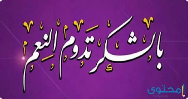 حفظ النعم 