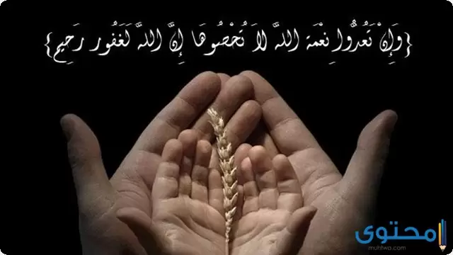حفظ النعم