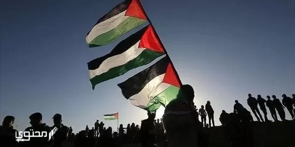 إذاعة مدرسية عن فلسطين