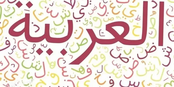 إذاعة مدرسية عن لغة الضاد