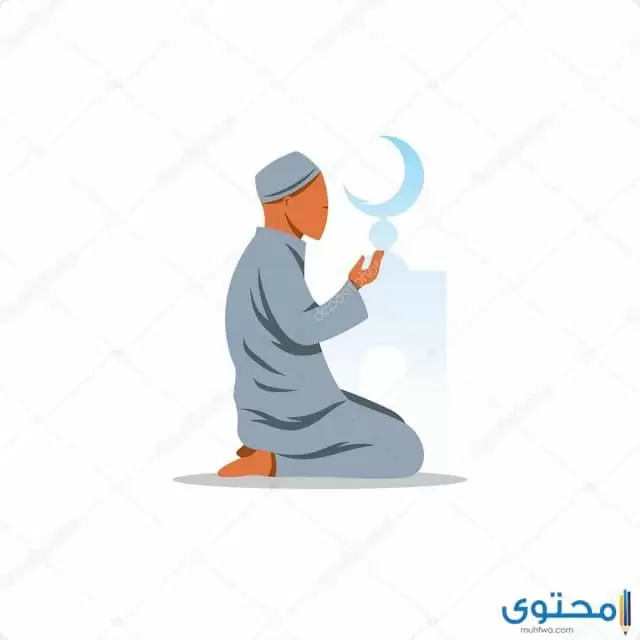 إسلام أبو سفيان