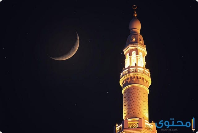 ابتهالات رمضان للشيخ نصر الدين طوبار والشيخ النقشبندي