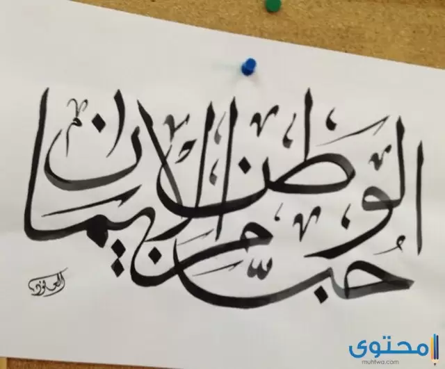 نماذج اذاعة مدرسية عن الوطن