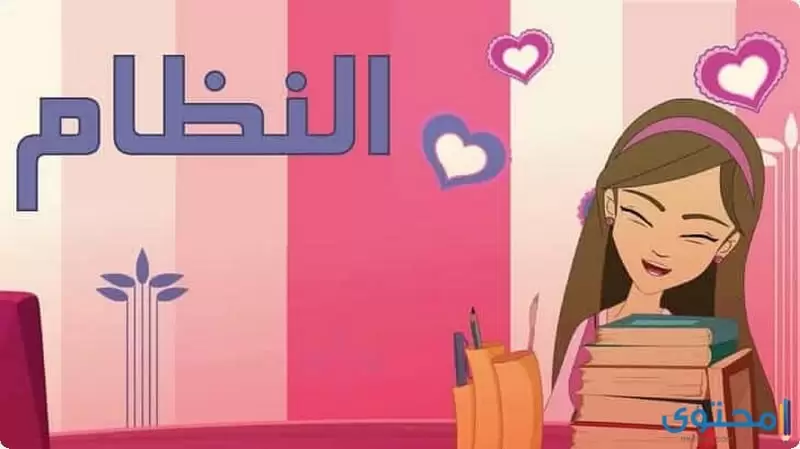 احترام النظام