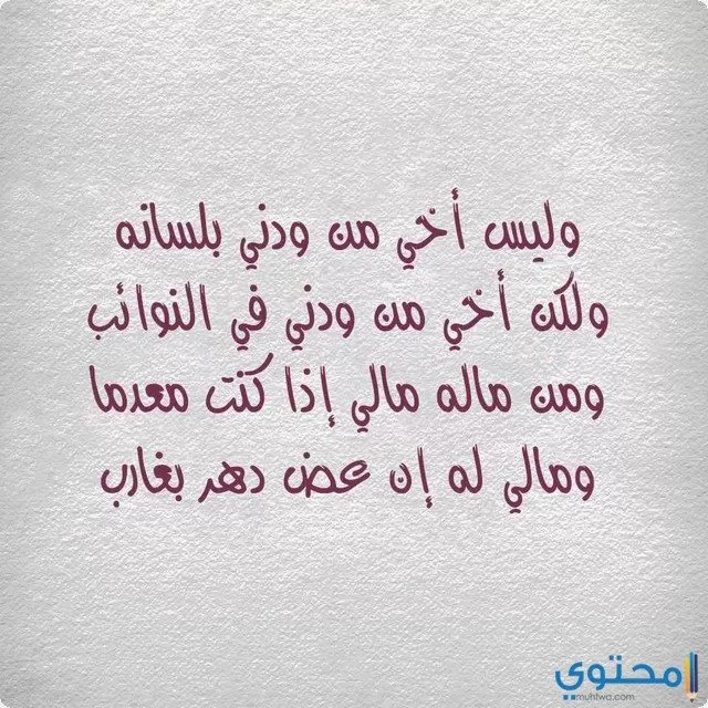 عبارات عن الأخ