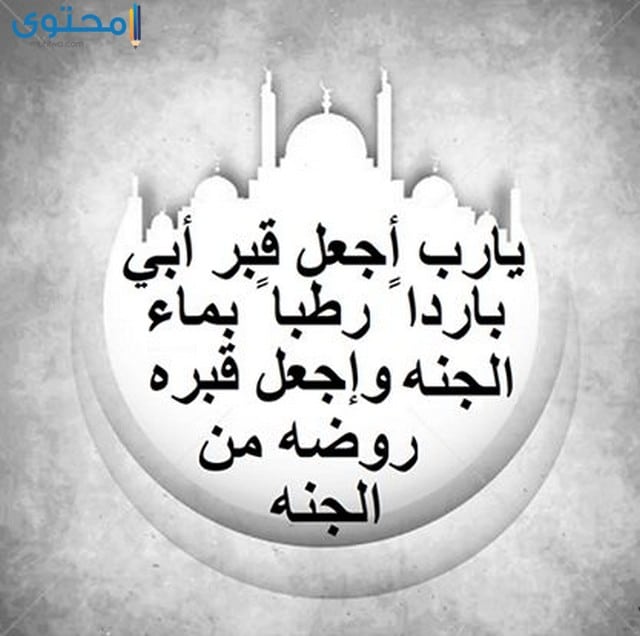 صور للاب