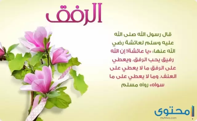 اذاعة عن الرفق بالإنسان