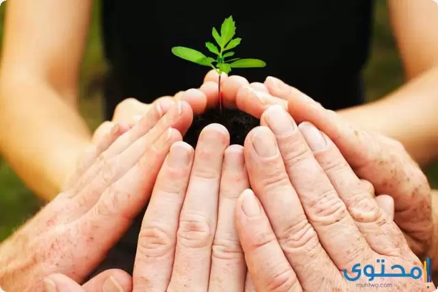 اذاعة عن الرفق بالإنسان