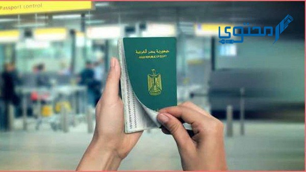 استخراج جواز سفر أونلاين في مصر