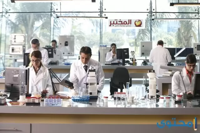 أسعار التحاليل في معمل المختبر في مصر 2024