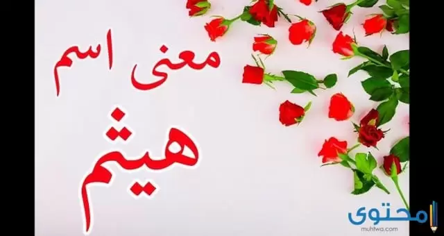 هيثم